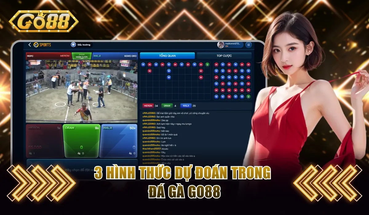 Đá Gà Go88 - Trận Đấu Hấp Dẫn Cùng Tỷ Lệ Thưởng Cao 4 3 hình thức dự đoán trong đá gà Go88
