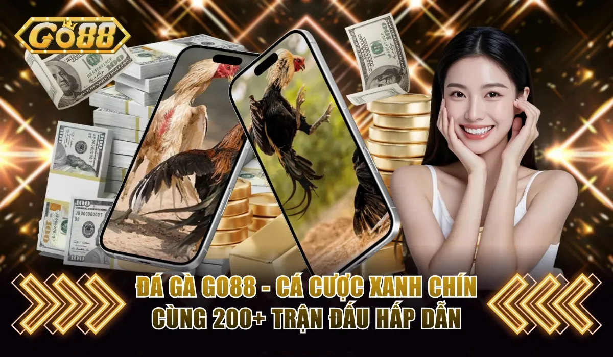 Đá Gà Go88 - Trận Đấu Hấp Dẫn Cùng Tỷ Lệ Thưởng Cao 1 Đá gà Go88