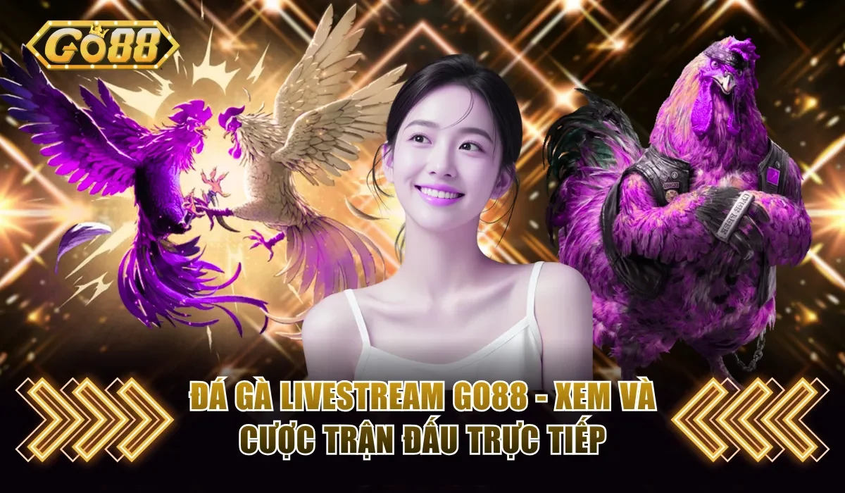 Đá Gà Livestream Go88 - Xem Và Cược Trận Đấu Trực Tiếp 1 Đá Gà livestream Go88