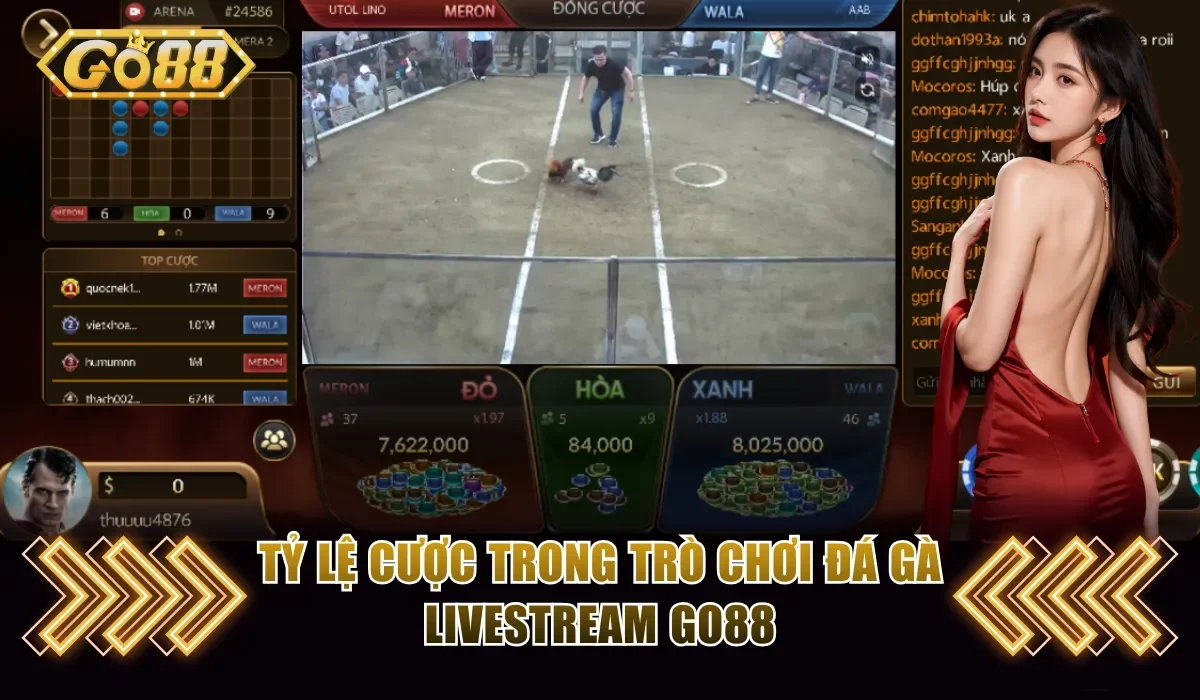 Đá Gà Livestream Go88 - Xem Và Cược Trận Đấu Trực Tiếp 3 Tỷ lệ cược trong trò chơi Đá Gà livestream Go88